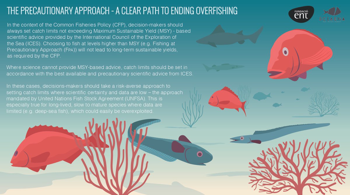 Lydia_ChE's tweet photo. Para las poblaciones de peces de aguas profundas, pedimos a @EU_MARE y al Consejo (en particular al #mapama y a @LuisPlanas), que no excedan el consejo científico del ICES basado en el criterio de precaución https://t.co/XiUvjMwpIQ #CFPreality #EndOverfishing #sobrepesca #ciencia https://t.co/WHsMExFgF2