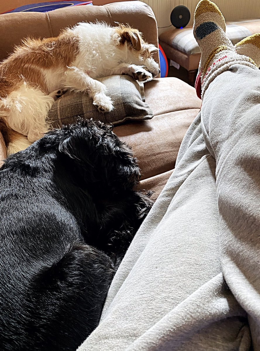 Hollieb8's tweet photo. Little pig 🐷 is napping so it’s coffee, fur baby cuddles and work for me 😍 If you can actually call this work 😂💁🏻‍♀️

#PrincessMovement https://t.co/ufyIjjpbnP