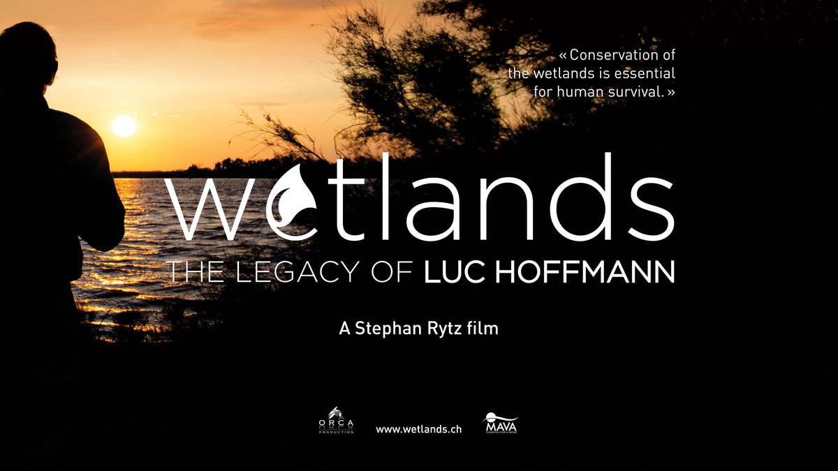 ORCAProd's tweet photo. Amazing news! "Wetlands, the Legacy of Luc Hoffmann" was just selected by OtherMovie Lugano Film Festival in Ticino. Screening on Oct. 3, 2020. More info on https://t.co/kd6BsaS4u6
@MavaFdn @RamsarConv @WWF @WetlandsInt @LucHoffmannInst https://t.co/kclLySYvUF