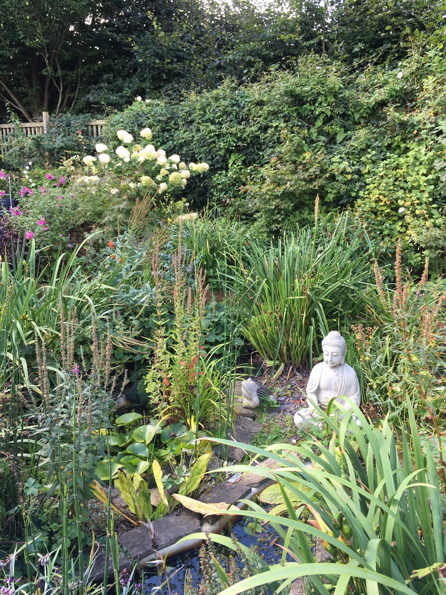 ZenPlot10's tweet image. On holiday in Dorset, missing #Plot10 but we are staying at a friend’s holiday cabin and it’s garden is fabulous! Not to mention the cabin, which is giving me ideas for painting the potting shed (when it arrives)
