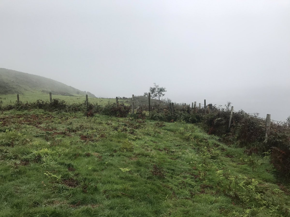 JasemCrimmins's tweet photo. Morning, it’s not gloomy, it’s mysterious. #getoutside #mapOL166 https://t.co/dQrroSrEbR