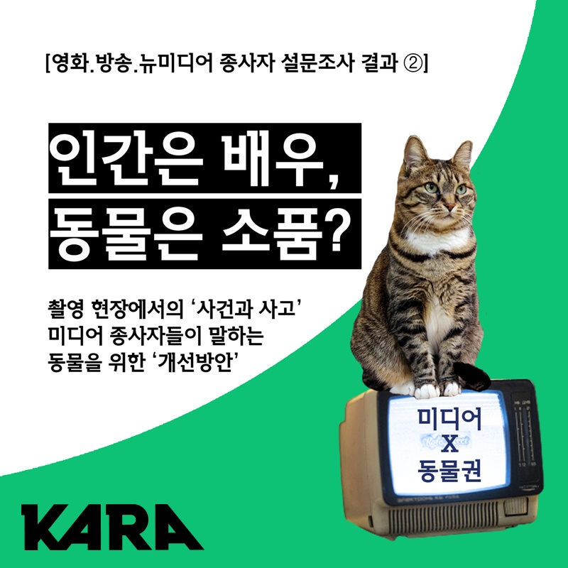 #미디어X동물권 영화·방송·뉴미디어 종사자 대상 설문조사 결과② 인간은 배우, 동물은 소품? 촬영 현장에서 동물이 '고의'로 혹은 '사고'로 다치거...