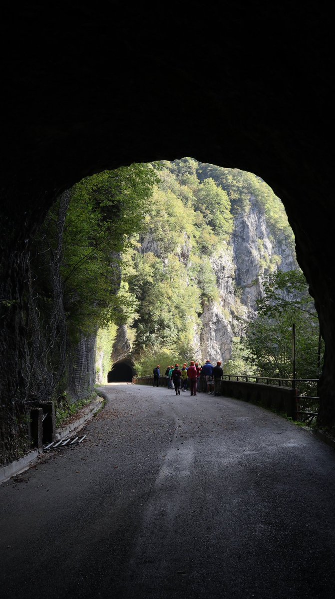 Luca Vivan tweet media