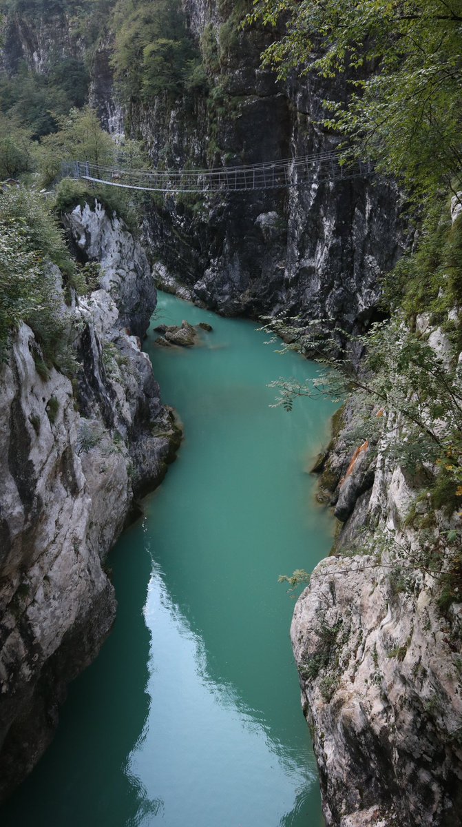 Luca Vivan tweet media