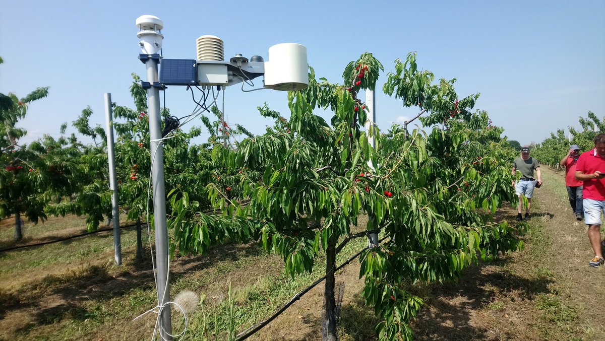 <a href="/CalleEcology/">Leonardo Calle</a> <a href="/Eco_Phys/">Phys Ecology ESA</a> Do you like this dendrometer from ecomatic? We combined it with a weather station by <a href="/gottfried_pessl/">gottfried pessl</a> and get the data online. Or watch out for fruit dendrometer by <a href="/HKconsultingIT/">PerFrutto</a>