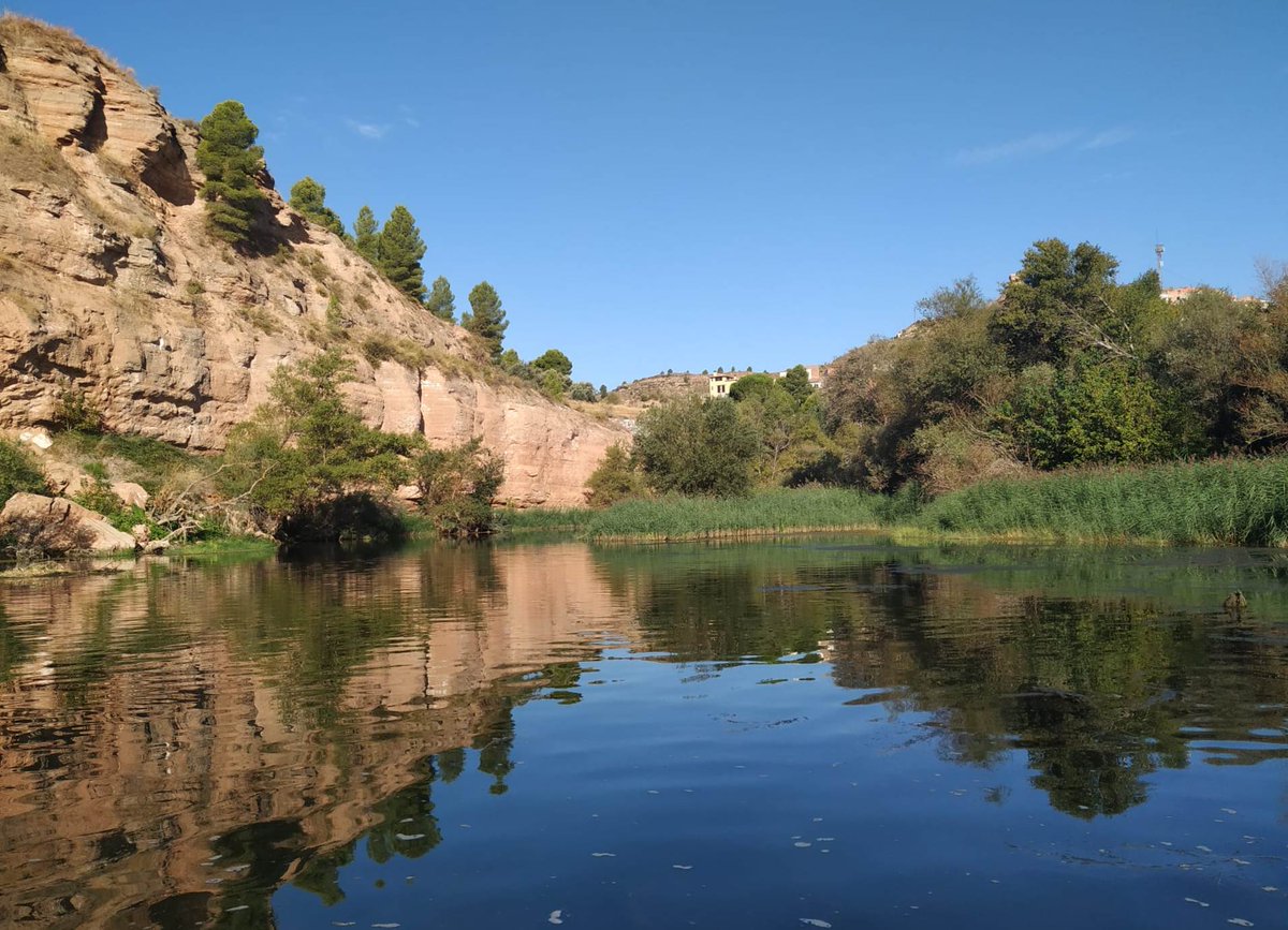 BIOTRAM_'s tweet photo. Un altre dels punts on realitzem seguiment d'ictiofauna és aquesta illa fluvial situada a Ascó 📍

#BIOTRAM #biodiversidad @FBiodiversidad https://t.co/LE20fqnEcq