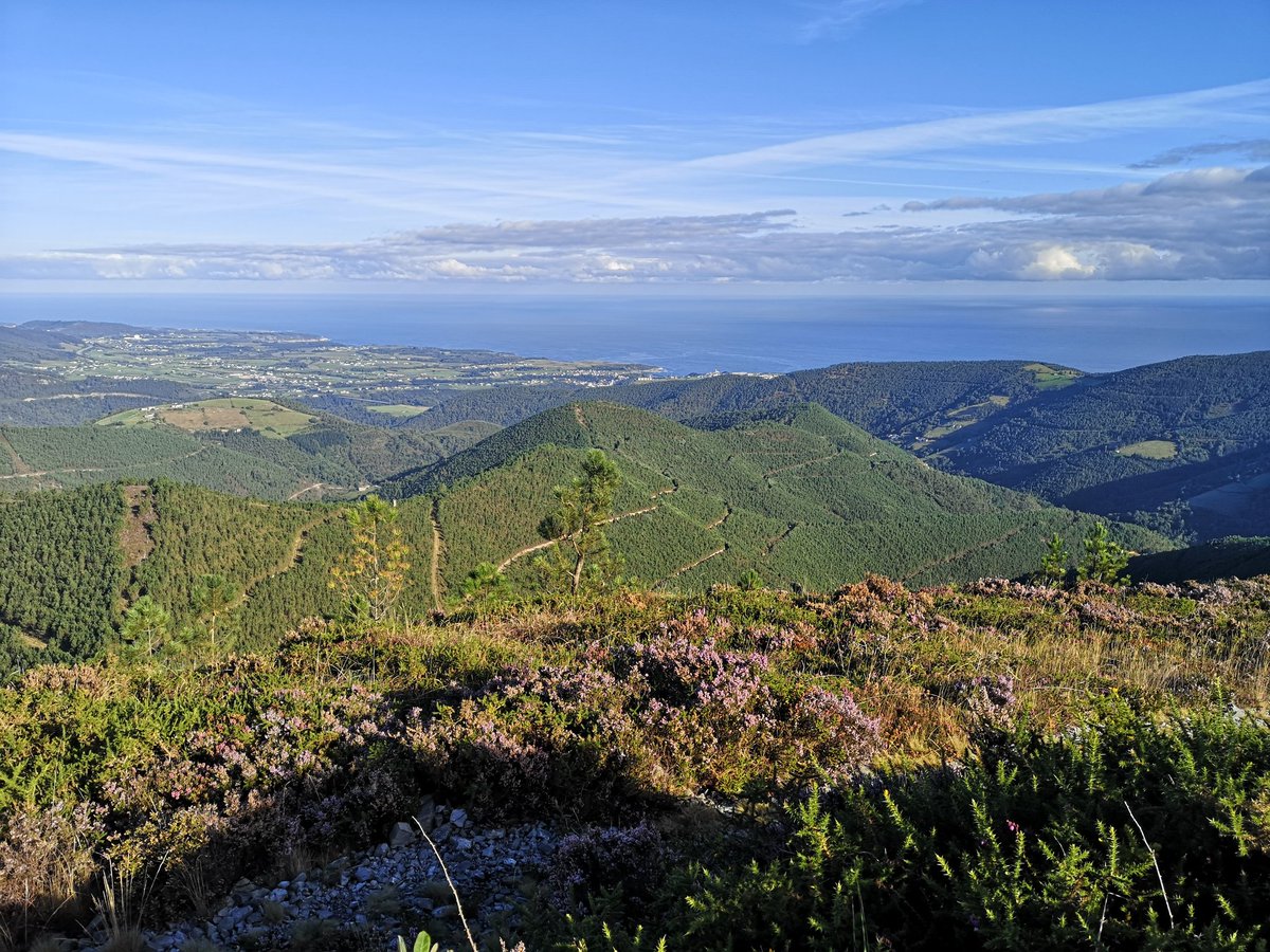 Feliz día de Asturias!!!. Desde pico Cándano o Horreo.
Puxa Asturies!!!