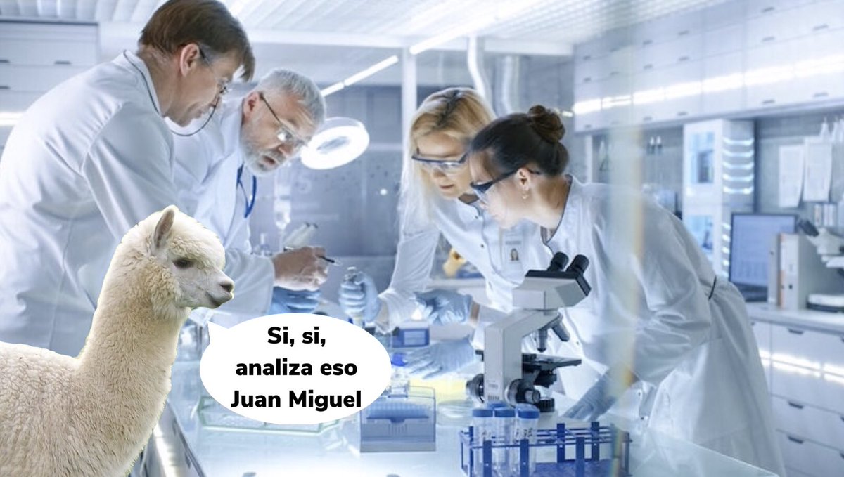 Antonio Romero tweet media