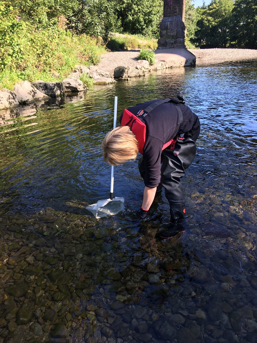 EnvAgencyNW's tweet photo. Last week #TeamEA were in #Kendal to rescue #Endangered white-clawed crayfish in order to preserve &amp; protect the species ahead of gravel removal to #ReduceFloodRisk in the River Kent system.

#EndangeredSpecies 

Find out more ➡️ https://t.co/Y6RYy8pMIN https://t.co/X4RWLQGuld