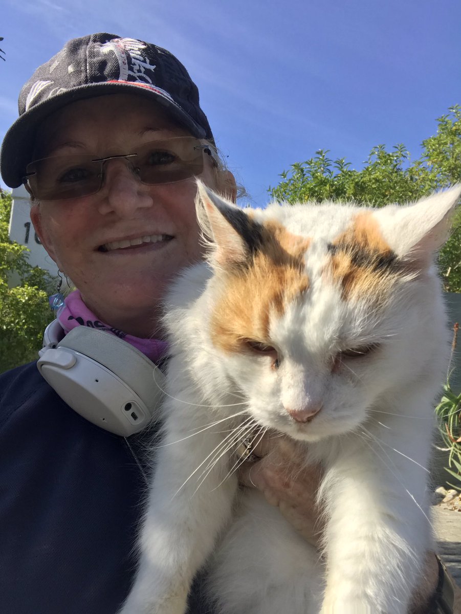 Armour Tyre Sealant tweet media