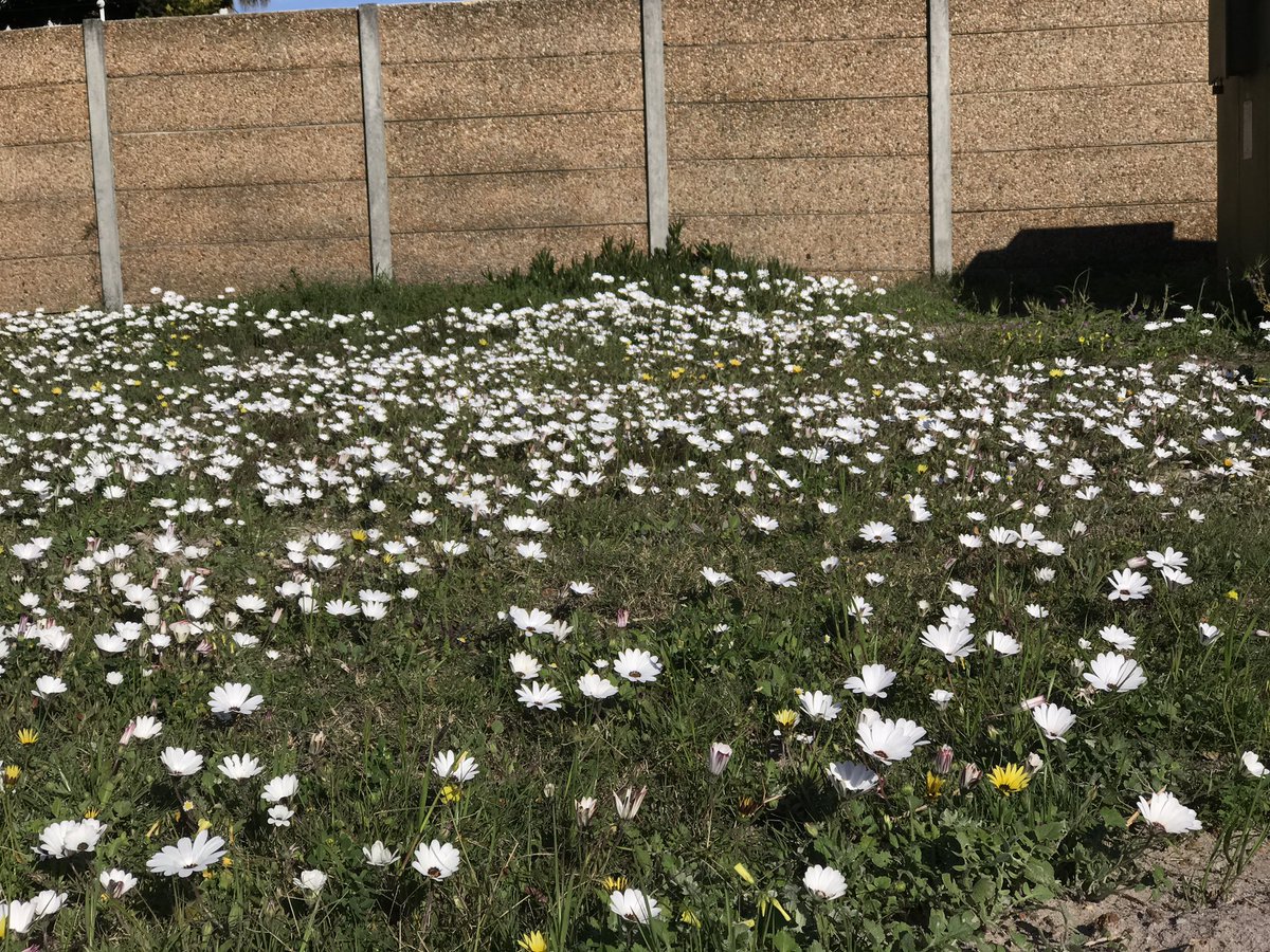 Armour Tyre Sealant tweet media