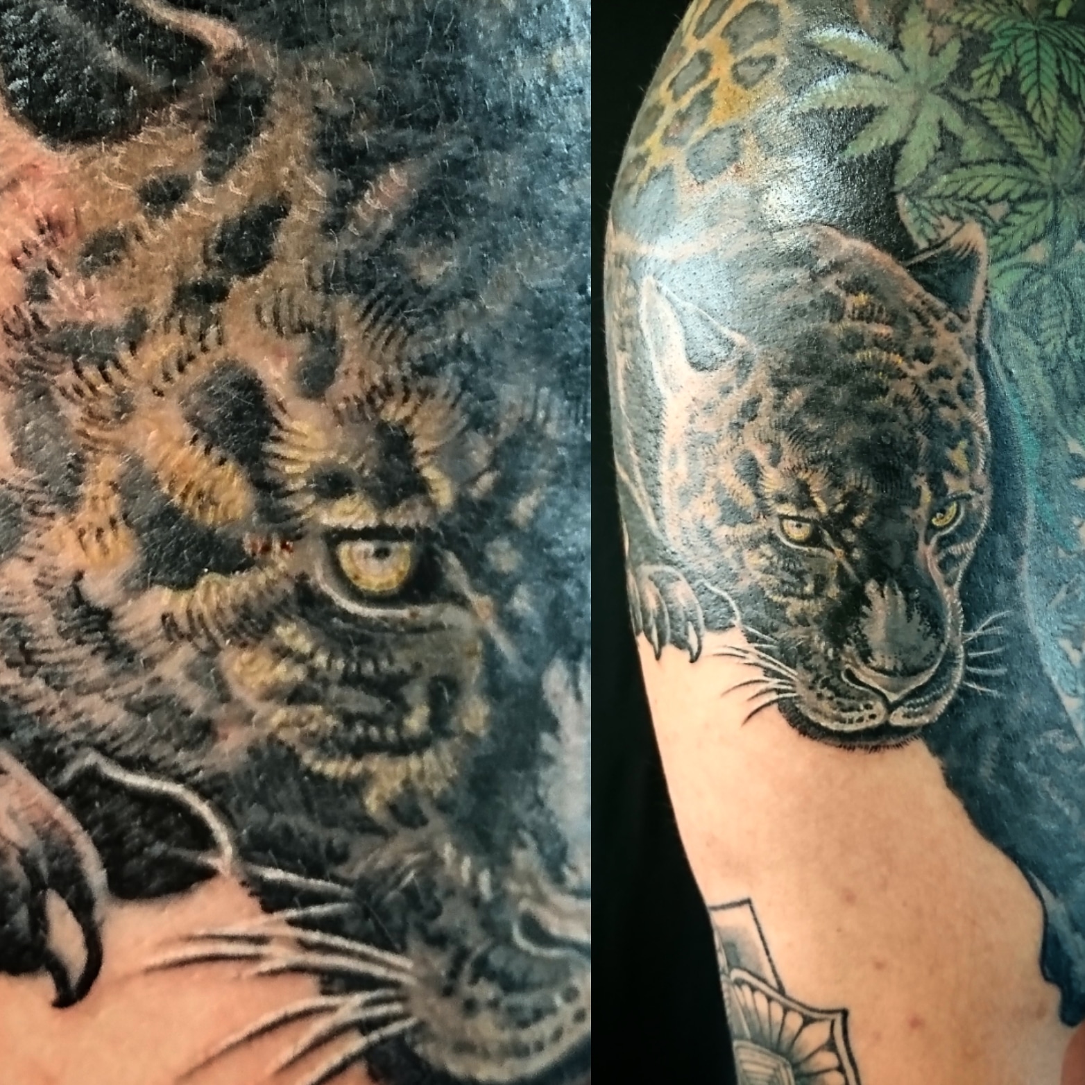 彫季代 Horikiyo ブラックジャガーとライオンのハイブリッド ジャグリオンちゃん 進行中 T Co Kdhouipaoi Twitter