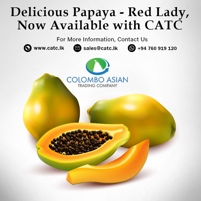 CATC_SriLanka's tweet photo. Delicious Papaya - Red Lady, Now Available with CATC.
Please Email your inquiries to ✉️ sales@catc.lk
Or WhatsApp your inquiries to 📱 +94 760 919 120
https://t.co/SfBFwBvZj9
#Papaya #RedLady #FruitsandVegetables #Sourcing #SriLanka #Maldives #CATC #CATCFresh https://t.co/0TWBaddb1I