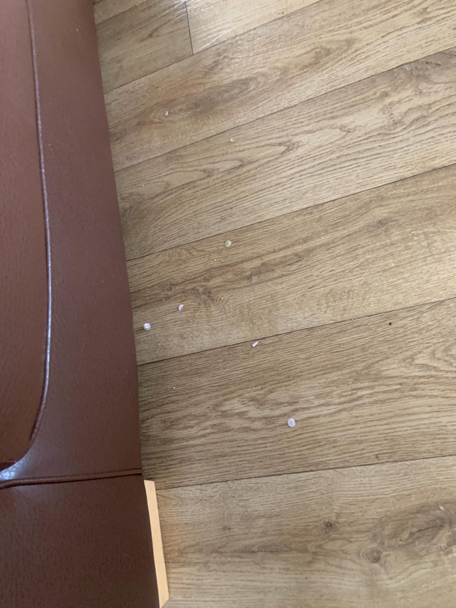 JacksonJeminyj's tweet photo. @DarwinEscapes who can I talk to about turning up at one of your lodges to this ? Not acceptable anytime let alone pandemic #COVID19 https://t.co/Pi0AoOYmVV