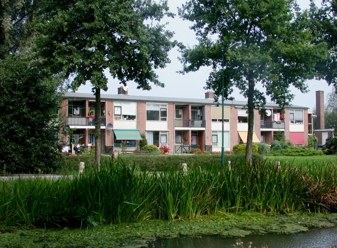 Deze zomer liep de temperatuur weer hoog op, met #hittestress en #droogte tot gevolg. Door aanleg van groen kunnen we schaduw creëren en water vasthouden. Lees de blog #Klimaatadaptatie, dat kan je zelf! van PCL-lid Marleen van den Ham op provincie-utrecht.nl/adviespcl