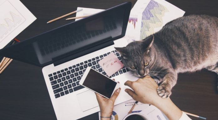MobileNewsEU's tweet photo. Adobe Romania increases the benefits package offered to employees during work from home https://t.co/E7pejX1g3w https://t.co/xJZTnICyzf
