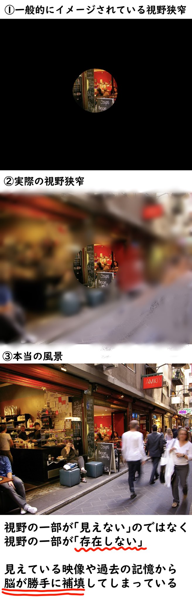 椿 冬華 視野狭窄 についてわかりやすくまとめてみました 視野狭窄がある と言ってもわたし 180度の視野があるつもりですからね 自覚するのが非常に難しいです おそらく 自覚なき視野欠損がある人も少なくないと思います 特に よくものに