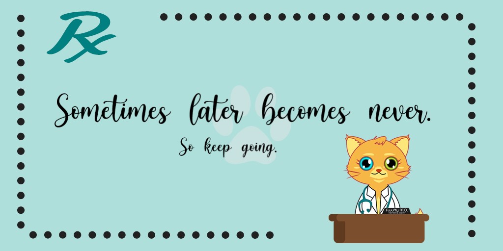 fwuffymd's tweet photo. This is your friendly reminder to make the most out of your time toniiiiight! 😜 

#StudyPa #StudyWell #AimForProductivity #NoteToSelfFirst Hahahahahaha https://t.co/aKomf5yDXm