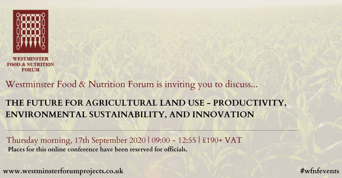 Westminster Forum Projects tweet media