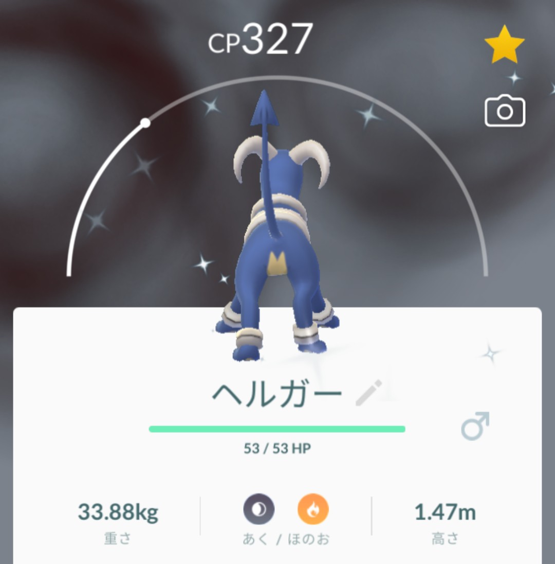 のん842 色違い2匹目 即進化 ポケモンgo デルビル色違い ベルガー色違い