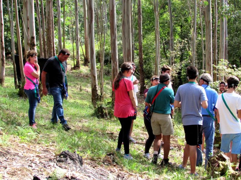 LaserTagAstur's tweet photo. ¿Sabías que también puedes disfrutar de la experiencia #LaserTag en @selva_asturiana en Llanes?

¡Llámanos e infórmate!⁣⁣⁣⁣⁣
⁣⁣⁣⁣⁣
📱 688949222⁣⁣⁣⁣⁣⁣⁣⁣⁣⁣
⁣⁣⁣⁣⁣⁣⁣
🔗 https://t.co/ORr1T4JwRG   https://t.co/6KyGHoflHy