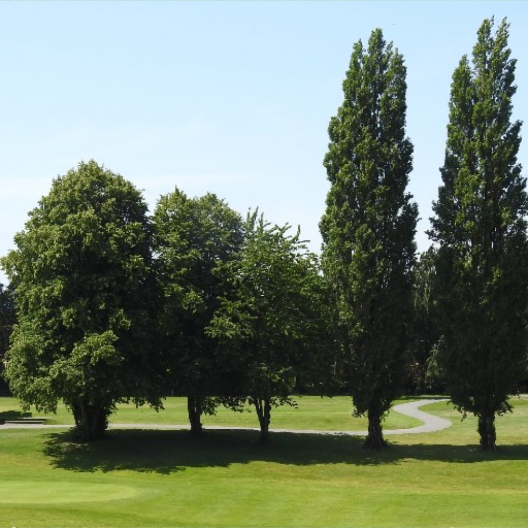 A beautiful balance of prestige, seclusion and
tranquillity awaits you at The Green.