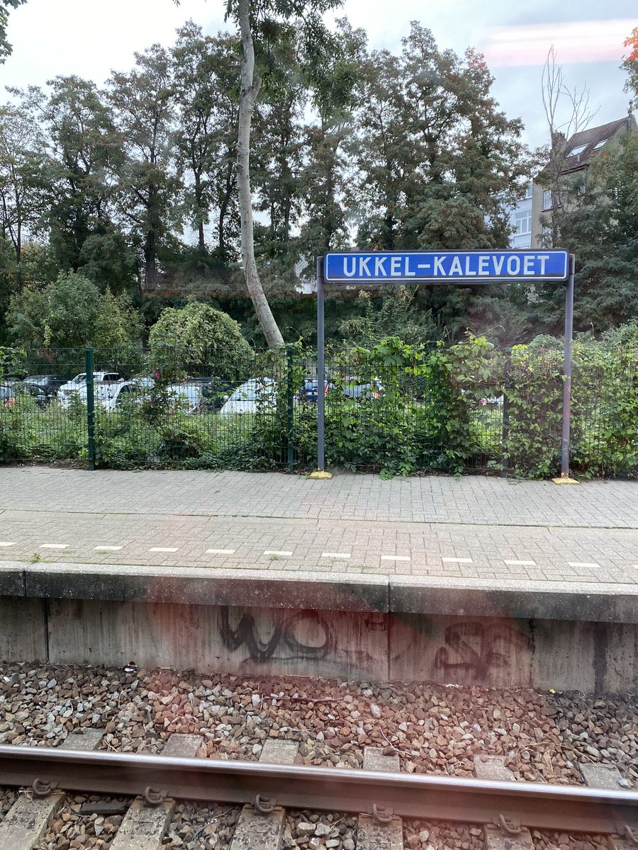 aurelie czekalski tweet media