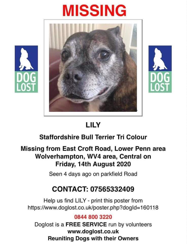 colliesontherun's tweet photo. LOOK AT THIS FACE - #SBT missing from her garden since 14/8/20 OWNERS ELDERLY & granddaughter really needs help in area postering as she doesnโt live close enough to help #LowerPenn #Wolverhampton #WV4 pls LOCALS RT & ๐ TY
https://t.co/v2Aiycrylf
@KarenFi51820768 @SeniorStaffy https://t.co/RsuoEuyCa4