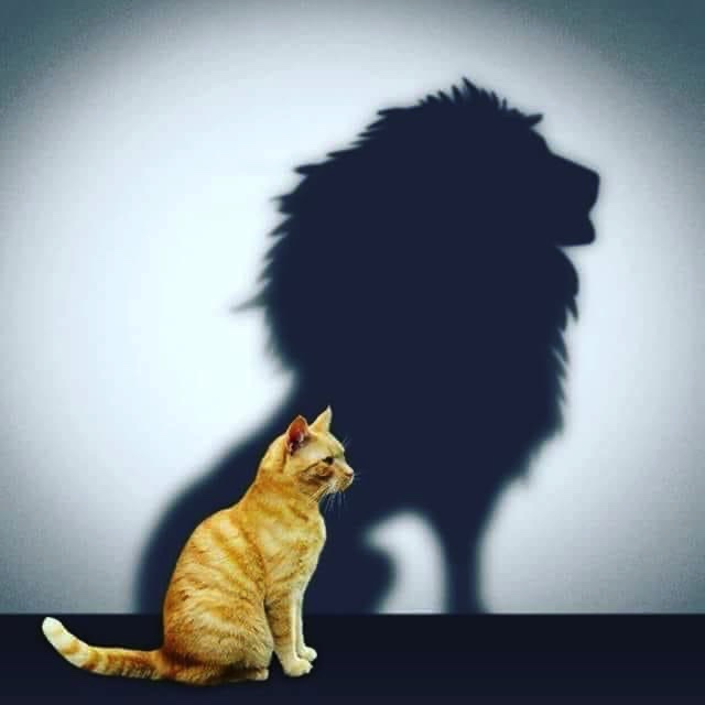 AdelAliBinAli's tweet photo. لا تثق بأحد لمجرد أن أعجبك حديثه فالحياة أصبحت مظاهر خداعه
فبعض الأشخاص ظله أكبر من حجمه الحقيقي 👌 https://t.co/JQidbaFoa8