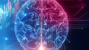 University spinout company Neuronostics has received funding to develop its BioEP platform, an AI-based system for faster, more accurate diagnosis of epilepsy and to monitor response to treatment with anti-epileptic drugs:
birmingham.ac.uk/partners/enter…