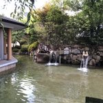 ツイートに含まれる画像