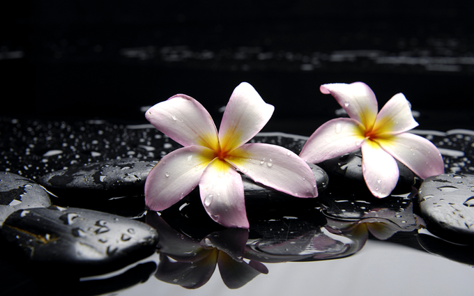 ホノルルのtwitterイラスト検索結果 古い順