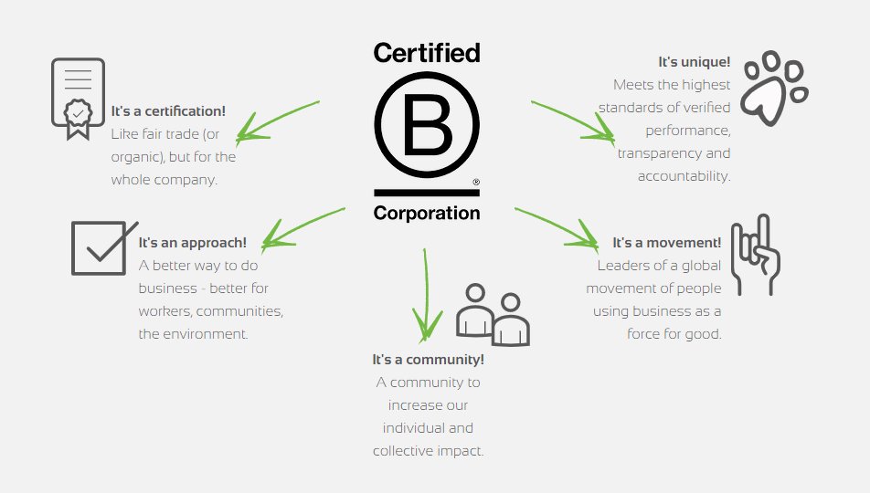 It's time to start working on our B Corp Annual Report! "Gosh" we've only just become certified but it doesn't stop there! Our ambitions are to improve our score even further, with a focus on #netzero #uknetzero, improving our parental policies &amp; creating management processes