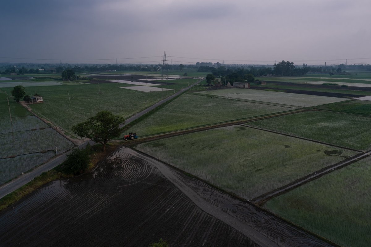 At first glance, Punjab's lush green fields will have you believe that all's going well. It's not.