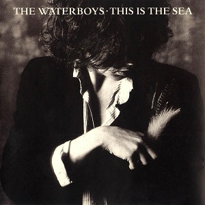The MD guide to the 30 greatest Scottish post punk albums. In order.Number 24The Waterboys: This is the Sea