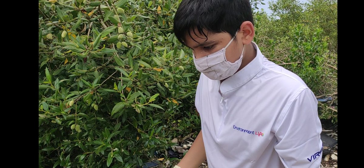 EnvironmentLife's tweet photo. Ocean and Mangroves are really not required any medicine, syrup, mask or injection except care for environment from us.
Behave with responsibility

Come join our team and serve for environment and Society
@NMMCCommr
@NMMConline @ErikSolheim @CMOMaharashtra @PrakashJavdekar https://t.co/Pn2JgCOBPK