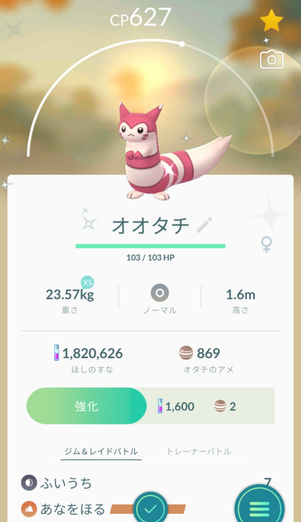 溝口 泰成 自宅マンションポケソースに カワイイ カワイイ 色違いオタチが現れました 色違いオタチに出会ったのは 約10ヶ月ぶり ２匹になったので １匹を色違いオオタチに進化させました 色違いオオタチの色イマイチ クリーム色のオタチの方がいいね