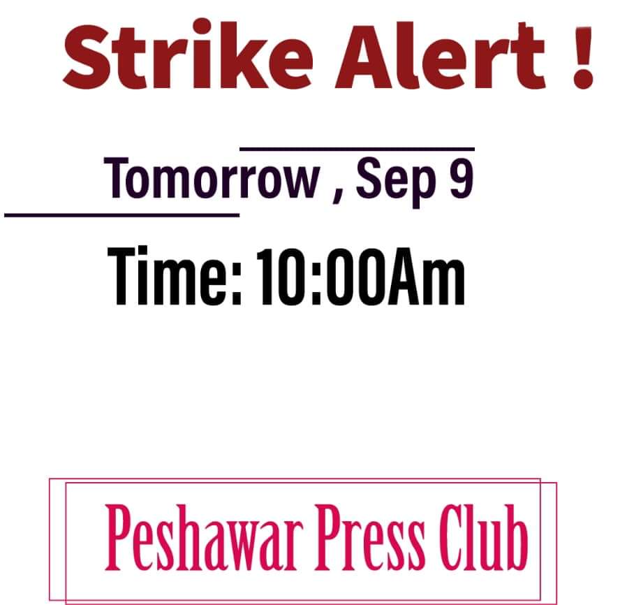 Sadiag2105's tweet photo. Everybody must gather tomorrow. Please it's for our future.. We must unite this time or we'll all have to pay for the out comings.. #ShafqatMahmood #schoolsreopening @Shafqat_Mahmood #KPKStudentsProtest #Peshawar #KMUDelayProff #KMUDelayfProff #KPStudentsProtest #UnitedWeStand https://t.co/qL9mB5FFtj