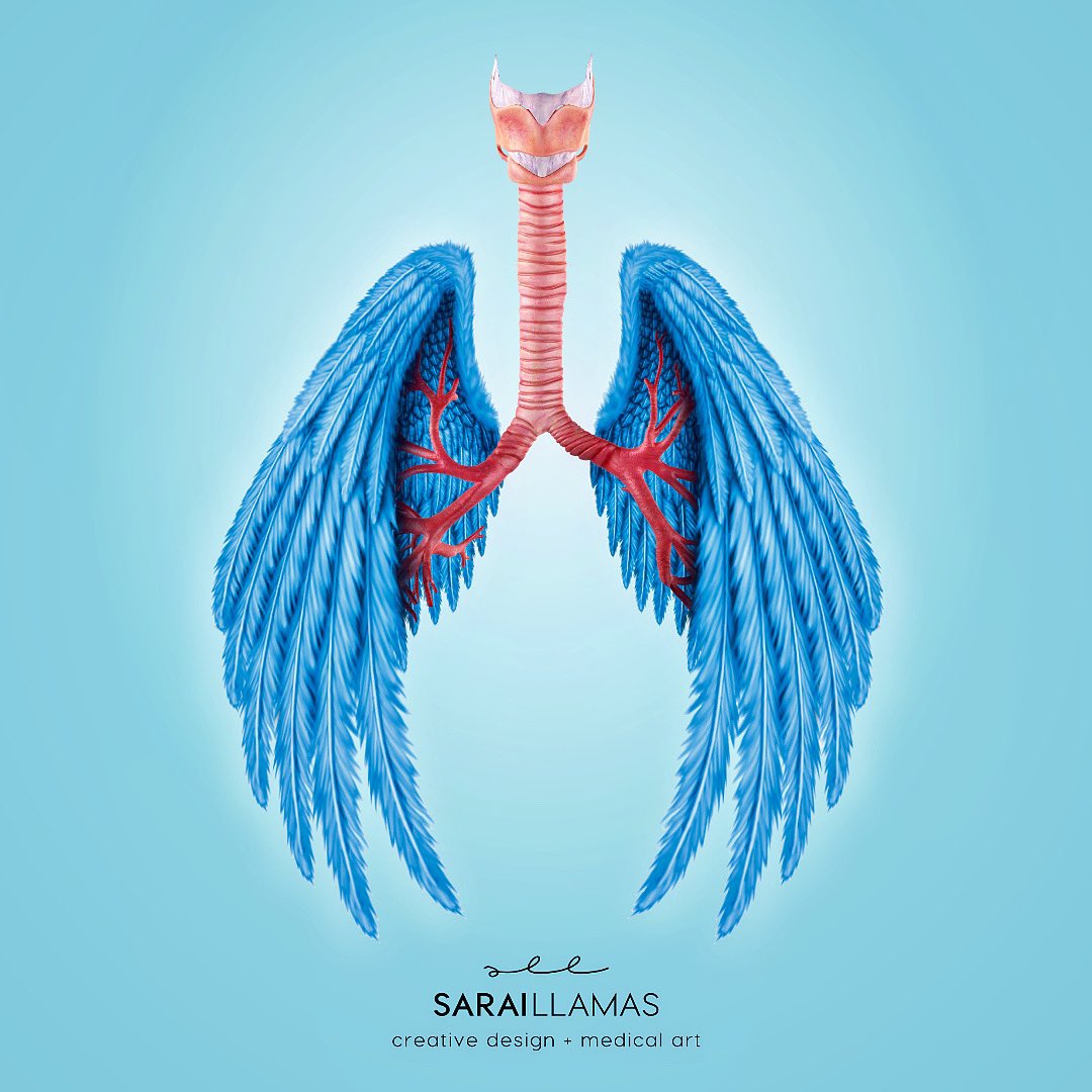 #WorldCysticFibrosisDay

I WANT TO BREATH FREE

«You will never know just how much you value your breath until you can't breathe». 

#CysticFibrosis #DiaMundialDeLaFibrosisQuistica #WorldwideCFDay #FibrosisQuistica #lungs #MedArt #MedicalArt #sciart  #pulmonology #cfawareness