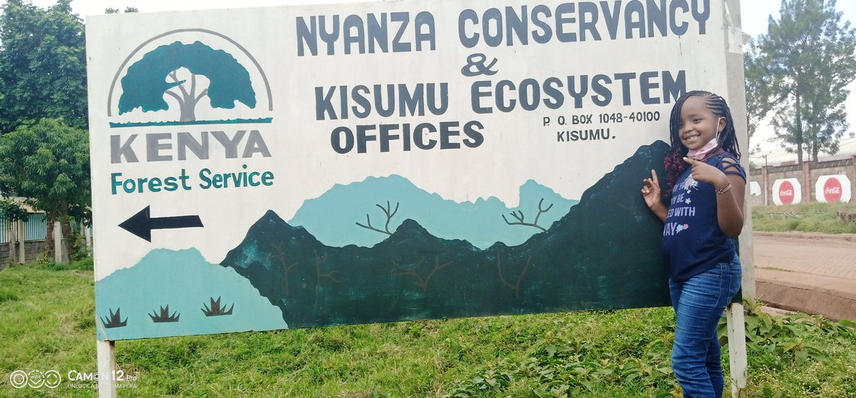 tek_kenya's tweet photo. The Team at Kisumu County nursery sorting out tree seedlings for planting from tomorrow!
@KEFRIHQ @Environment_Ke @NemaKenya @KisumuCountyKE @WWF_Kenya @PACJA1 @NemaKenya @OfficialKGBS @RamogiFM  @KeForestService @UNFPAKen @OlajideDemola @MukizaMwenesi @spheelmodels @AnyangNyongo https://t.co/HcvMRvS8cF