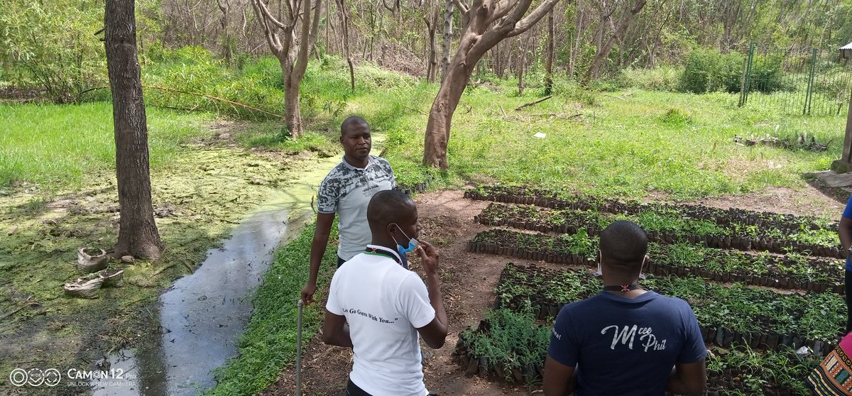 tek_kenya's tweet photo. The Team at Kisumu County nursery sorting out tree seedlings for planting from tomorrow!
@KEFRIHQ @Environment_Ke @NemaKenya @KisumuCountyKE @WWF_Kenya @PACJA1 @NemaKenya @OfficialKGBS @RamogiFM  @KeForestService @UNFPAKen @OlajideDemola @MukizaMwenesi @spheelmodels @AnyangNyongo https://t.co/HcvMRvS8cF
