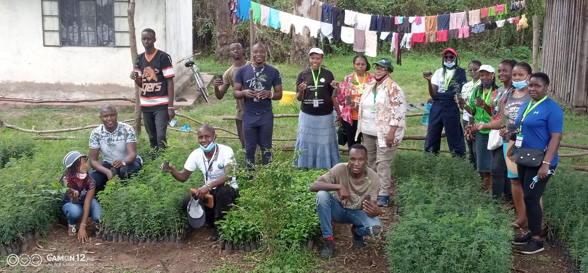 tek_kenya's tweet photo. The Team at Kisumu County nursery sorting out tree seedlings for planting from tomorrow!
@KEFRIHQ @Environment_Ke @NemaKenya @KisumuCountyKE @WWF_Kenya @PACJA1 @NemaKenya @OfficialKGBS @RamogiFM  @KeForestService @UNFPAKen @OlajideDemola @MukizaMwenesi @spheelmodels @AnyangNyongo https://t.co/HcvMRvS8cF