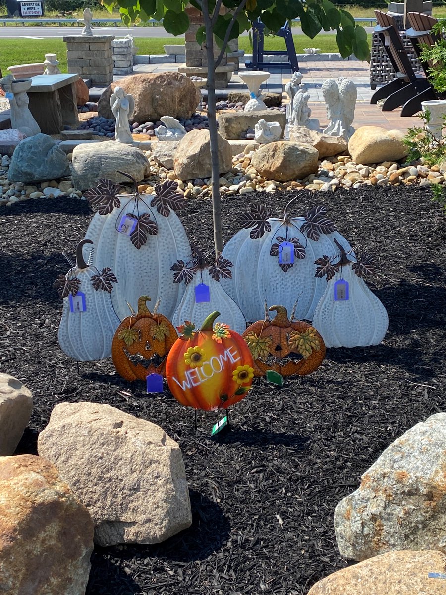 InfinitelyOutdo's tweet image. We sold out of our White Pumpkins pretty quickly but we got some more in last week along with some new ones. Stop by soon before we sell out again.
