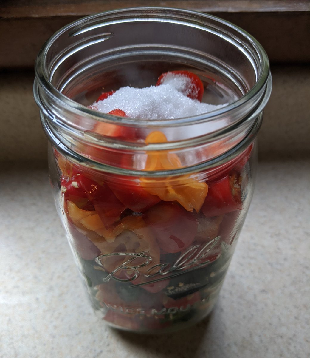 The start of hot sauce. Fermenting for a week, blending, straining then adding vinegar.