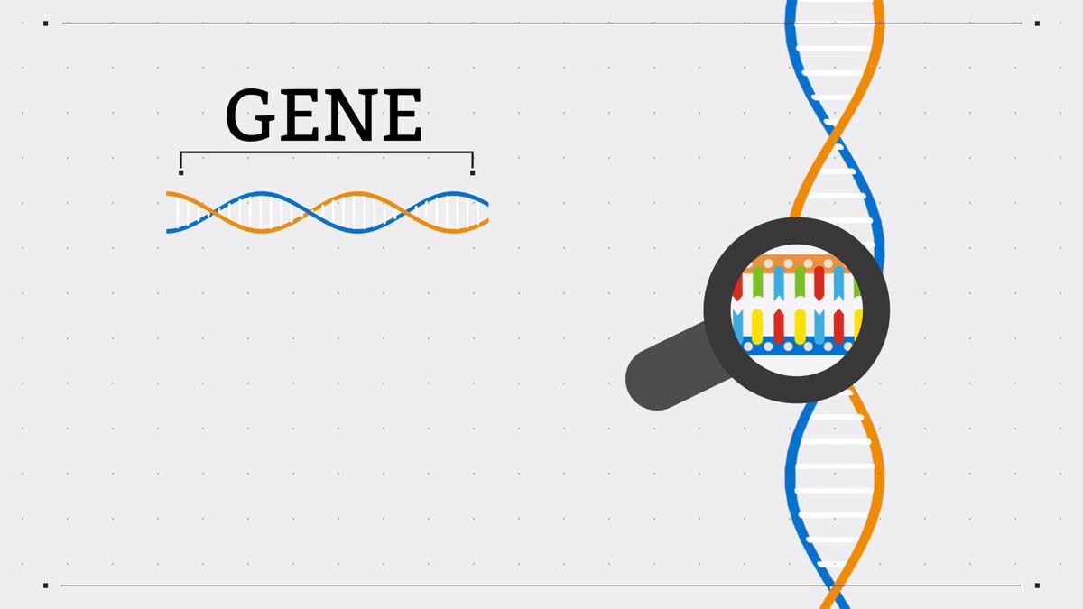 genomicsedu's tweet photo. What is DNA? What is a genome? How do we inherit genetic information? Learn about the fundamentals of #genomics with our collection of short animations, available on YouTube https://t.co/9ypnXQusv5 and Vimeo https://t.co/e8Z6418ci3
#genetics #education #genomics101 https://t.co/RiCKXBbseb