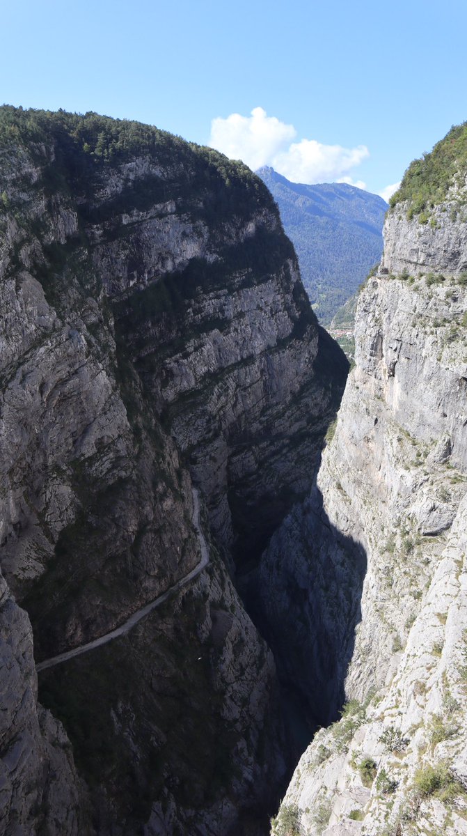 Luca Vivan tweet media