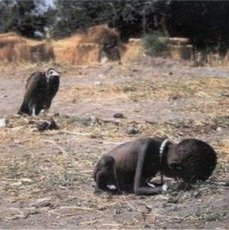 bijaysamuel's tweet photo. Vultures everywhere!!! ๐ก๐ค๐ก
#pandemicwoes #spotthedifference #notsohuman https://t.co/8Xa1EBbk3l