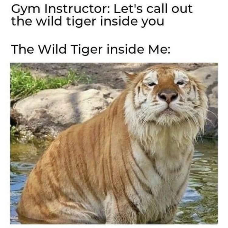 CaltrosGames's tweet photo. My spirit animal lol https://t.co/u2996j5XPe