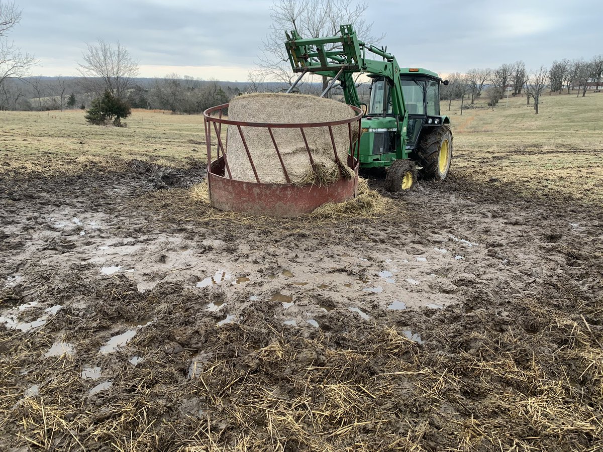 LandryEJones's tweet photo. With cooler temps and rain being forecasted this week, now would be a great time to apply 40-60lbs of nitrogen fertilizer to stockpile your fescue. Stockpiling will reduce stored feed supplys and the headaches of feeding hay in the winter. “Mud in the winter=weeds in summer” https://t.co/fW5yBxwGeZ