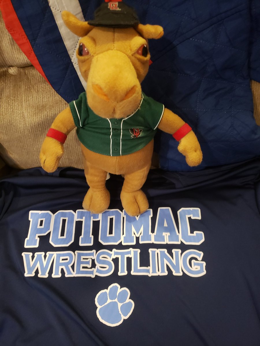 mathscamel's tweet photo. I want to know if @PotomacWrestlin  and @phunkyphysics have their school spirit today? #WeArePotomac https://t.co/Gd9Yxfytzi